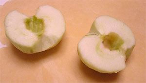 Apple Peeled and Cored